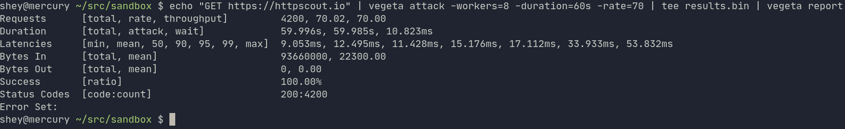 Vegeta Load-test Results